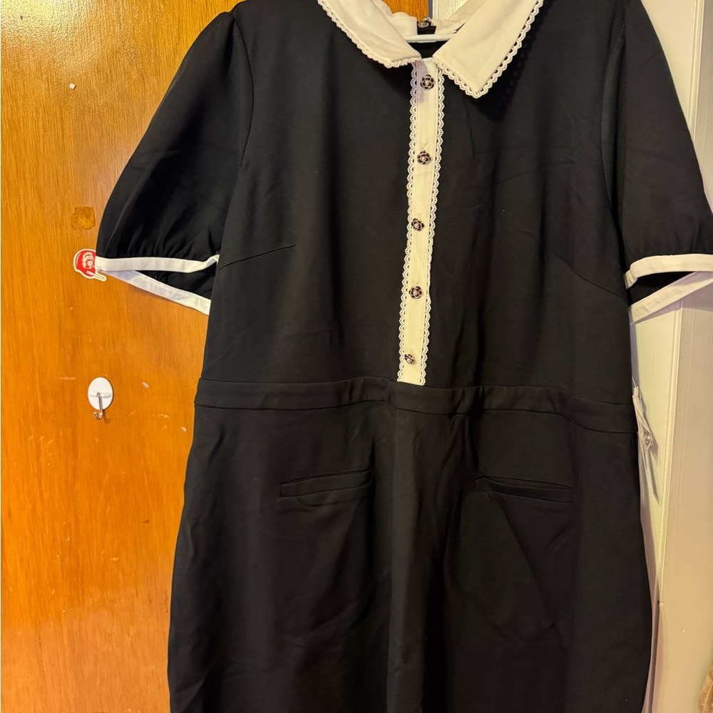 NWT Modcloth Scholastic Classic Collared Mini Dress